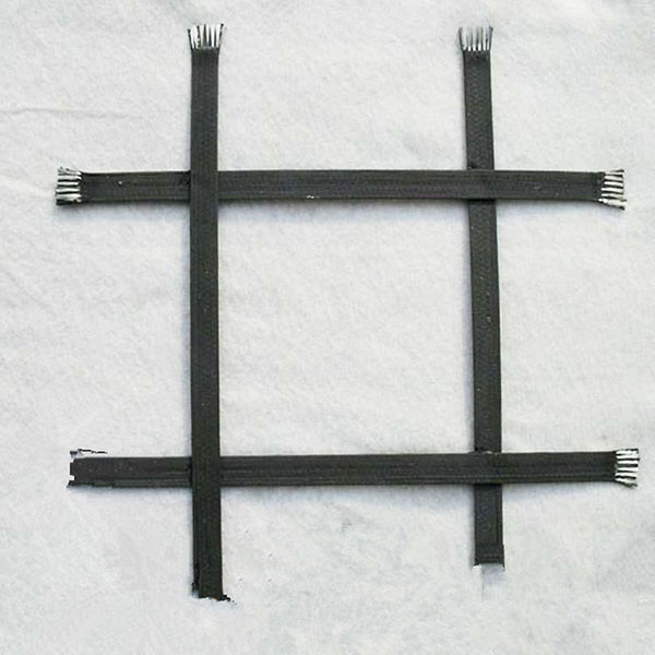 ����������դ