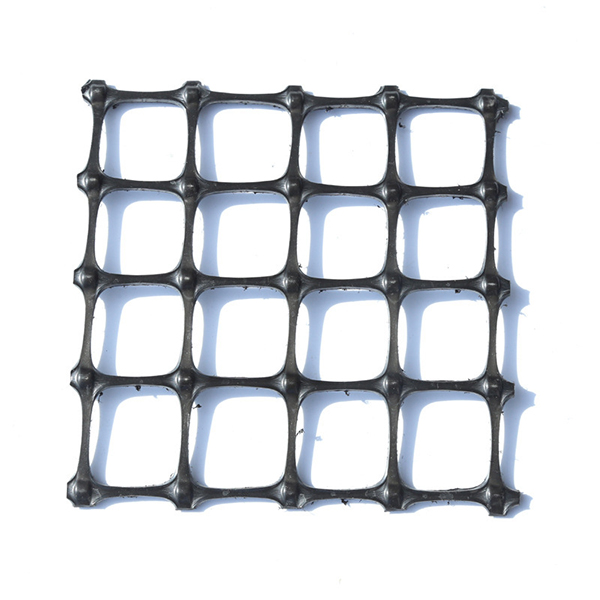 ˫������������դ