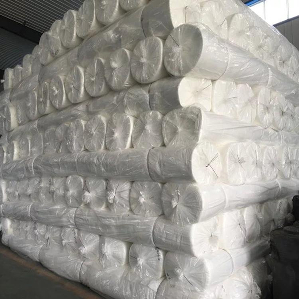 ��˿������