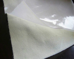 ��������Ĥ