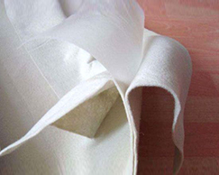 ��������Ĥ