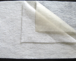 ��������Ĥ