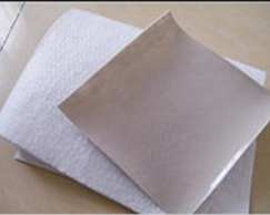 ��������Ĥ