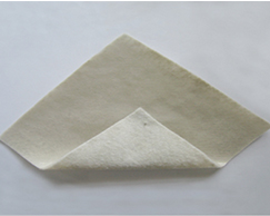 ��������Ĥ