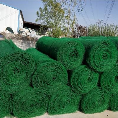 ��άֲ����